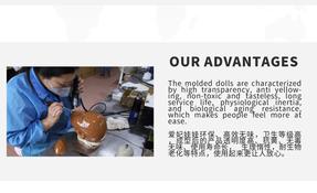 guangzhou factory 2020 new model TPE silicon sex dolls natural big ass real feeling adult sex toys for male by automatic woman